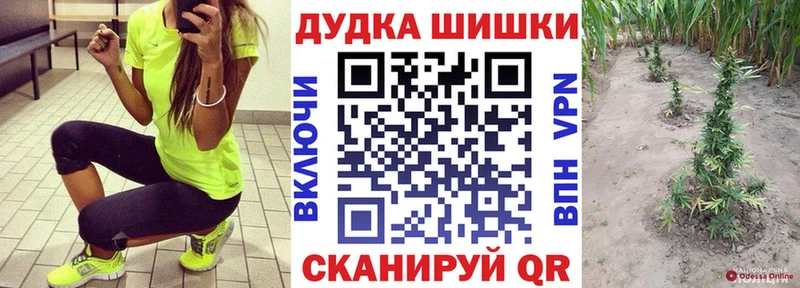 Какие есть наркотики Хилок Альфа ПВП  Меф  ГАШ  NBOMe  Бошки Шишки 