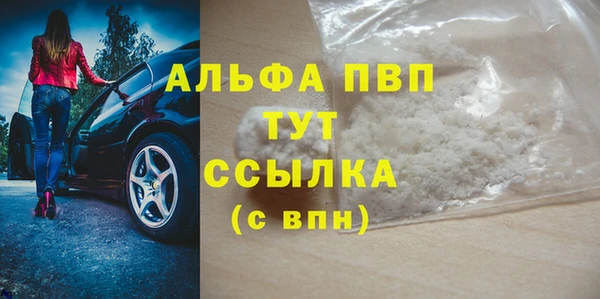 ПСИЛОЦИБИНОВЫЕ ГРИБЫ Каменногорск